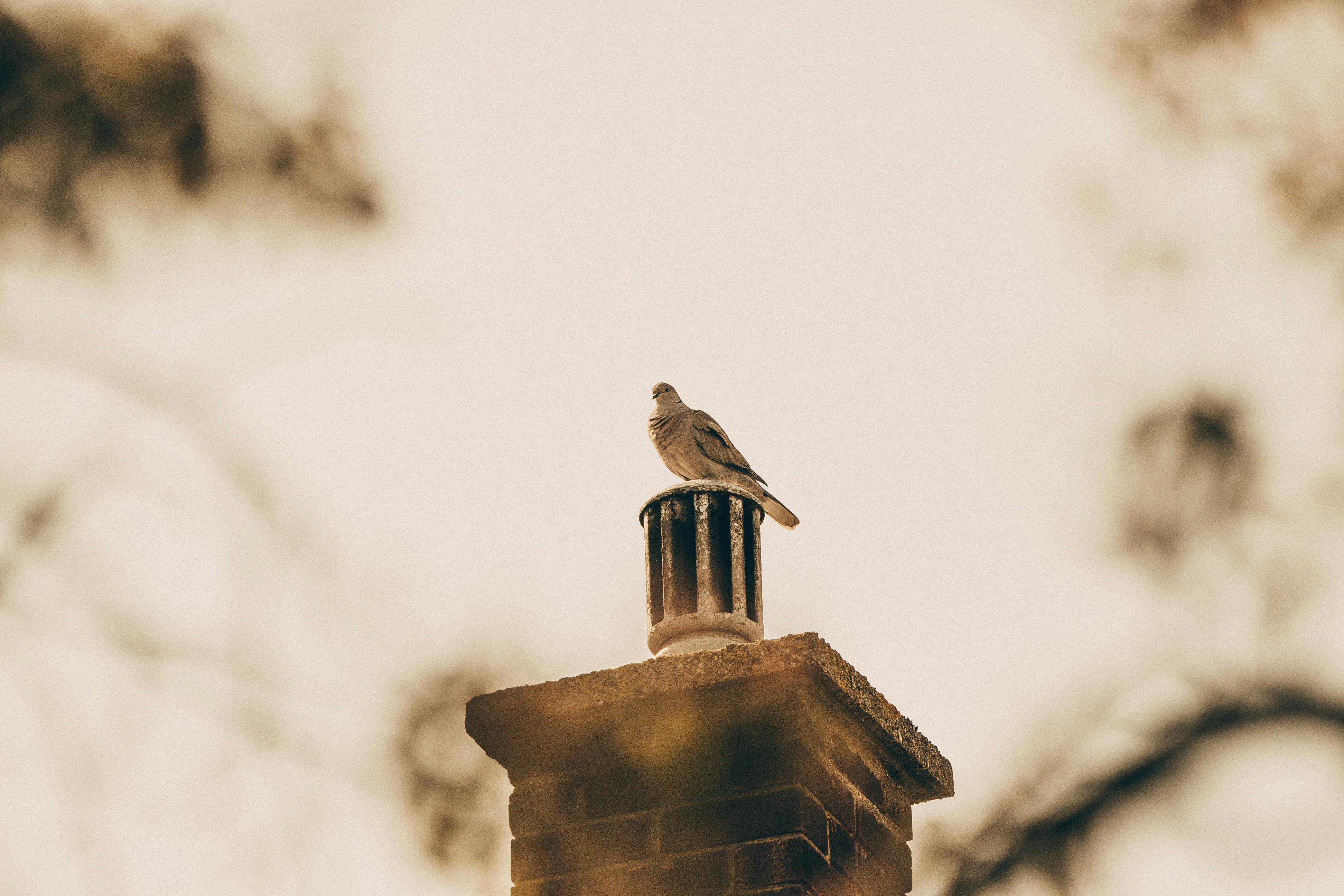 Expert Chimney Cap Installation in Lowell, Massachusetts